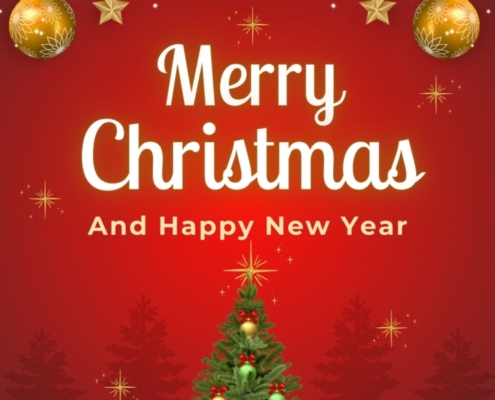 Feliz Navidad y Feliz Año Nuevo!
