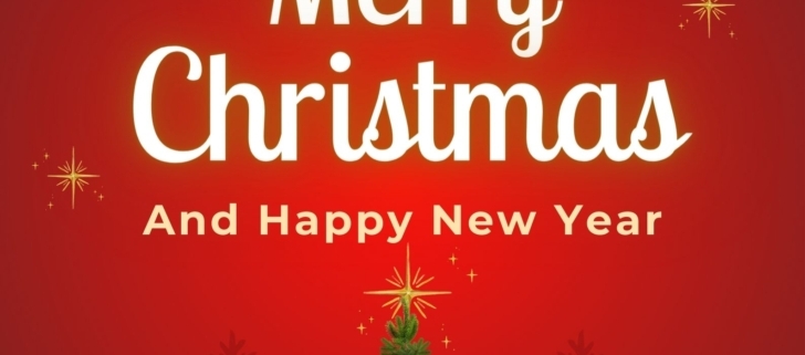 Feliz Navidad y Feliz Año Nuevo!