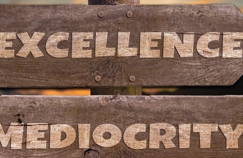 Excelencia o mediocridad?
