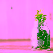 Economia Circular By Towfiqu Barbhiya